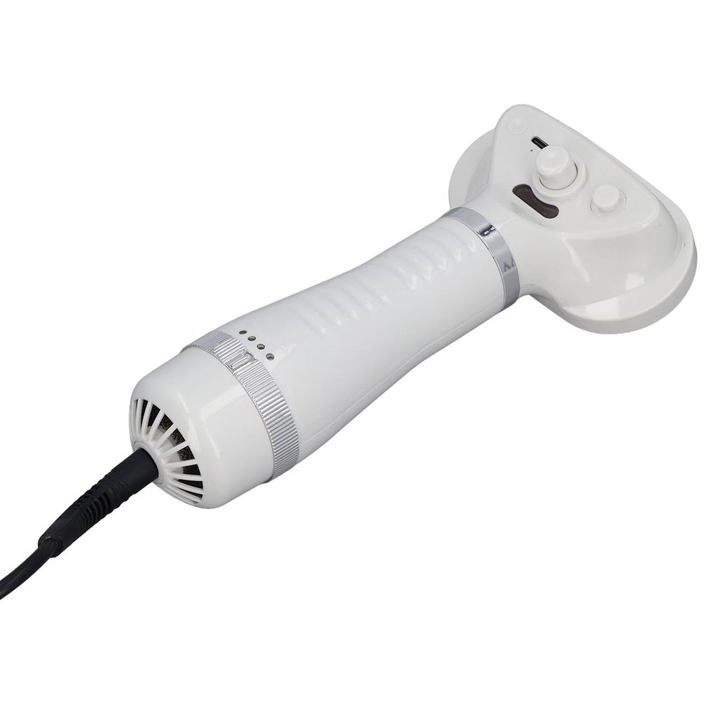 Sprüh-Katzenbürste Professionell Effizient 4 in 1 Tierhaarentfernungskamm Haartrockner für Katzen Hunde Haustiere