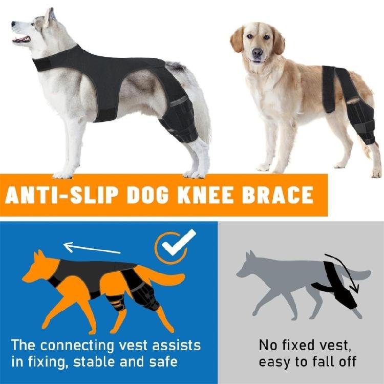 Dog Knee Brace Back Leg Joint Protectors Elastic Neoprene Leg Sleeve With Adjustable Belt For Elderly Dog Health Joint