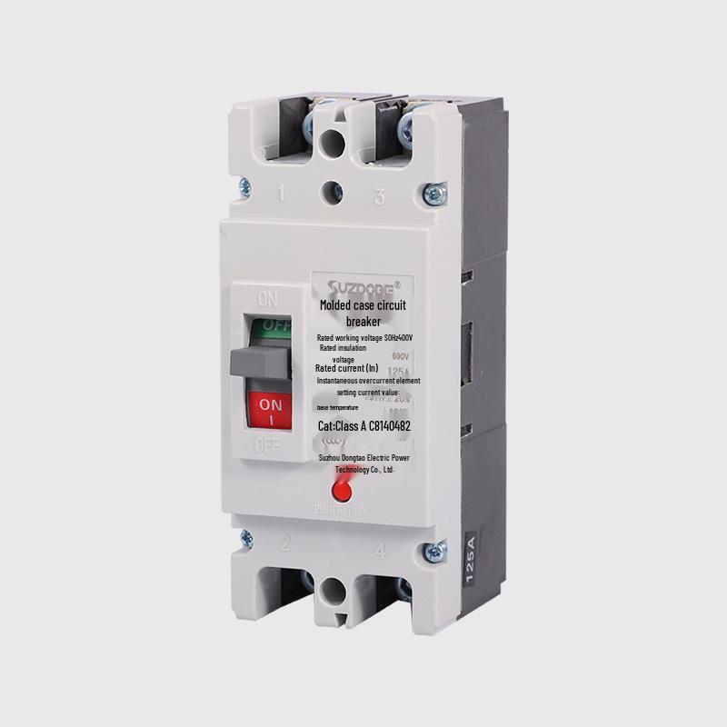 Molded Case 2P Circuit Breaker 100-250A Single-Phase 220V Double Pole Air Switch