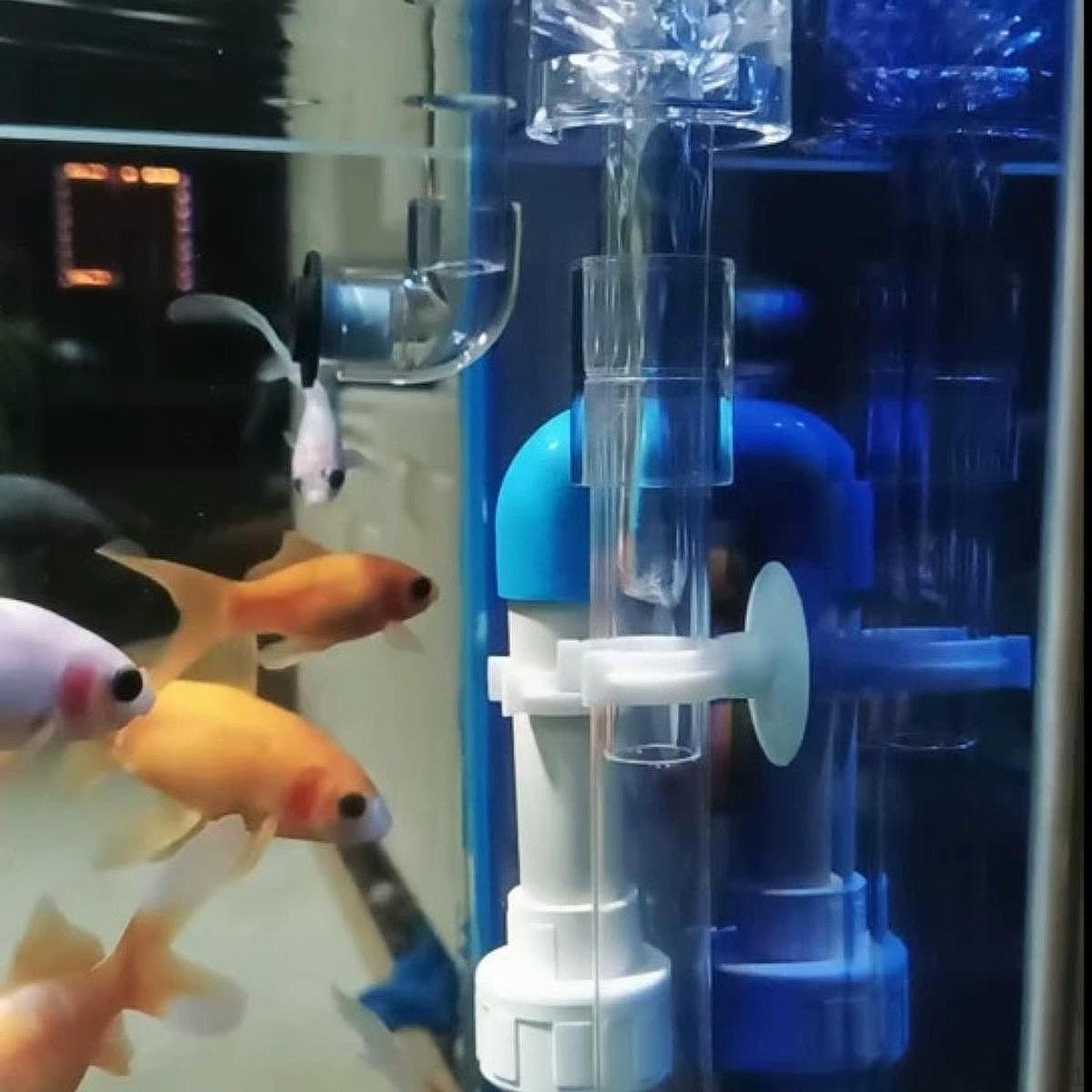 

Инструмент для чистки скиммера аквариума, Эффективный, Легкий, Вращающийся, Прозрачный, для Впускной и Выпускной Трубки 12mm