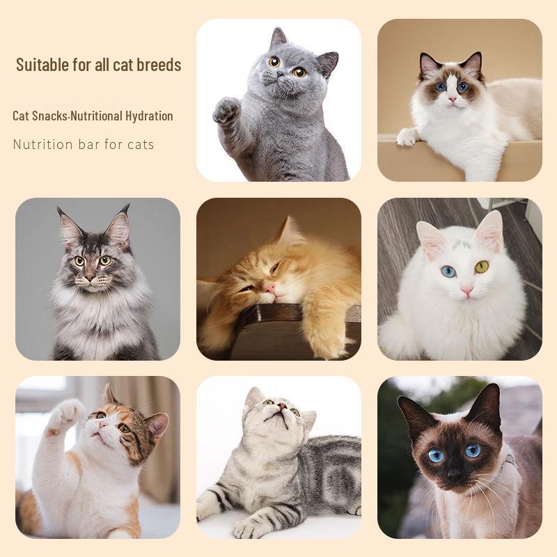 Pure English Cat Sticks for Kittens & Adults - Nutritional Wet Food Snacks for Weight Gain