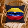 Artistic AAesthetic Art VenezuelaS Cushion Cover Ultra Soft Pillowcase CloudLike Comfort Fabric with Concealed Zipper