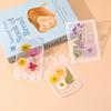 Pressed Flower Art Stencils - Cute Shaped (Bottle/Film) Clear Templates, DIY Resin/Scrapbook Decoration Tools with Dried Flower