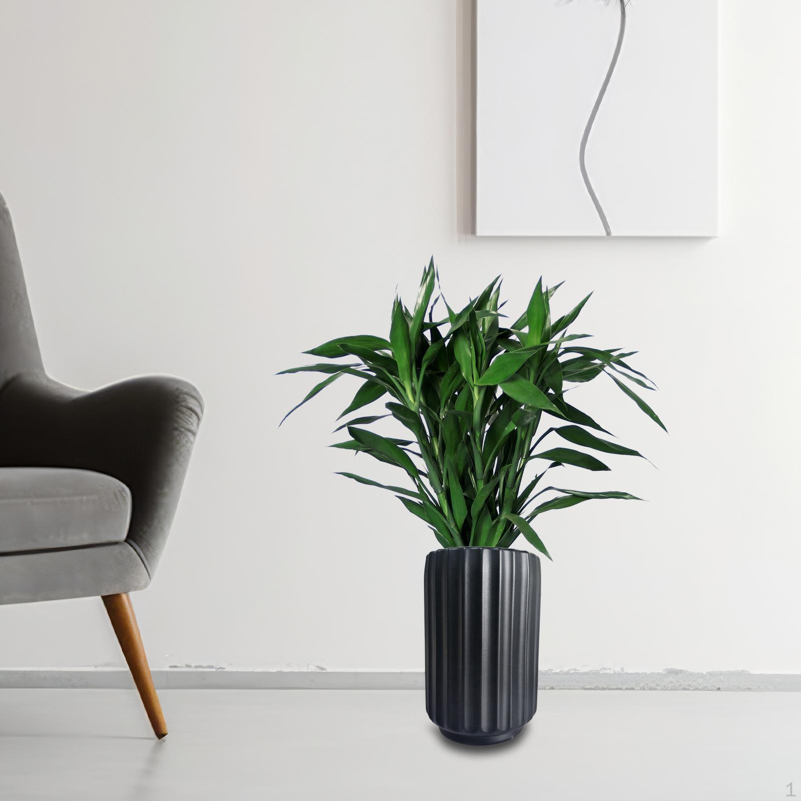 

Large Round Floor Vase, Tall Flower Pot, Modern Centerpiece, Home Decor for Office, Wedding, Shelf, 20cm x 12cm x 12cm