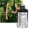 Maison Margiela Replica Eau de Parfum Soul of the Forest 100ml Woody Aromatic Fragrance Perfume
