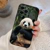 Animal Panda Phone Case For iPhone 17,16,15,14,13,12,11 Plus,Pro Max,XS,Soft Silicone Black Cover