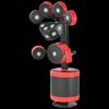 Shiyi Multi-Angle Standing Boxing Target