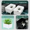 Large Aquatic Planting Basket with Suction Cup for Hydroponics and Aquarium Decoration