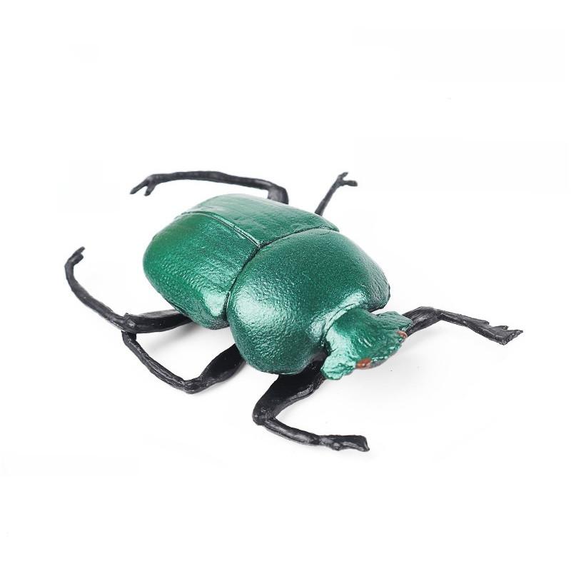 Realistisches Insektenmodell-Set Für Kinder Pädagogisches Und Sammlerstück Spielzeugsammlung