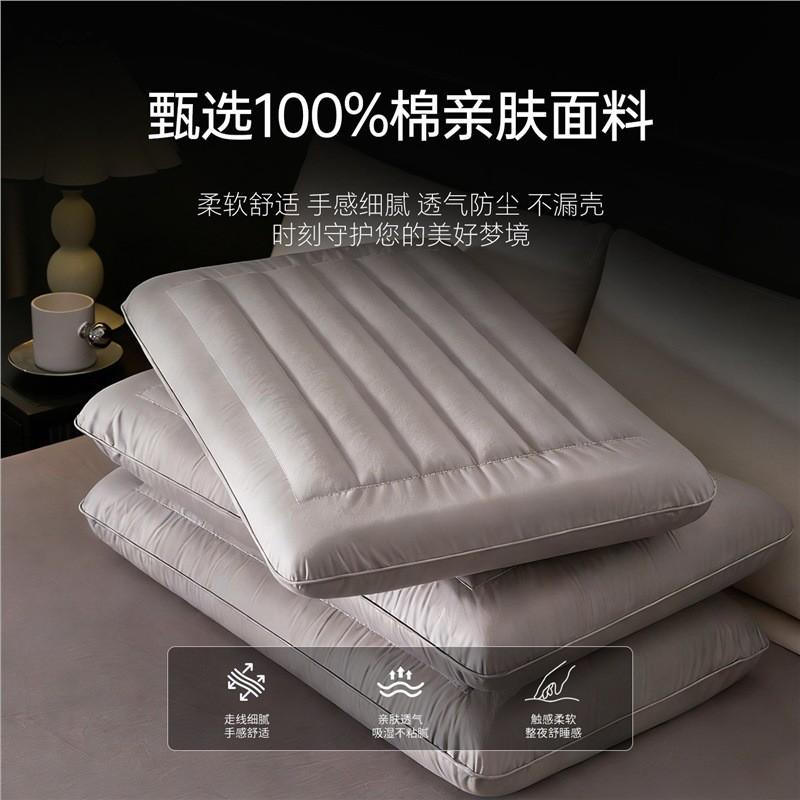 Memory Foam Buckwheat Pillow Neck Support Sleep Aid Low Profile Single Bed With Cotton Cover