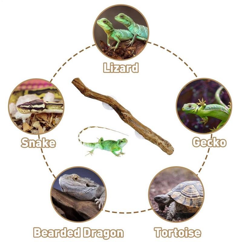 Artificial Branches Reptile Cave Corner Fake Branch Terrarium Plant Decor With Suction Cup Amphibian Lizard Snake Climbing