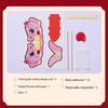Chinese Snake Dance Craft Set Handmade 3D Snake Paper Puppet Set for Children Adult School Kindergarten