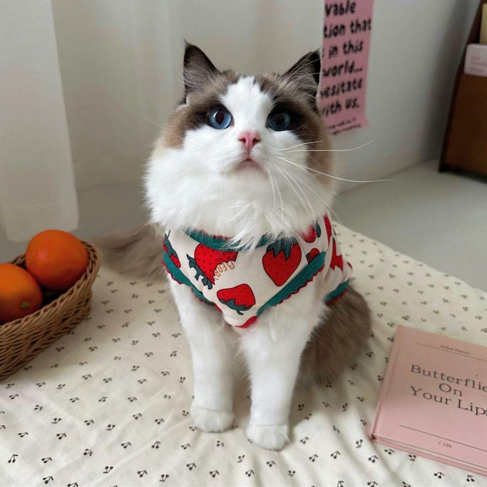 Soft Cat Vest Cute Pet Shirt Comfortable Pet T-shirt  Puppy