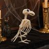 Halloween Strašidelný Model Zvířecí Kostra, Realistická Kostra Ryby Ptáka Pavouka Hada Kočky Strašidelná Párty Ozdoba pro Párty, Strašidelný Dům, Hřbitov