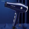 Kangfu KF-8948 Professional High-Power Hair Dryer CN plug (adapter included)