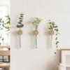 Vase Wall Mounted Planter Home Ornaments Flower Pot Hydroponic Planter Shelf  Living Room