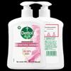 Moisturizing Antibacterial Hand Wash Twin Pack