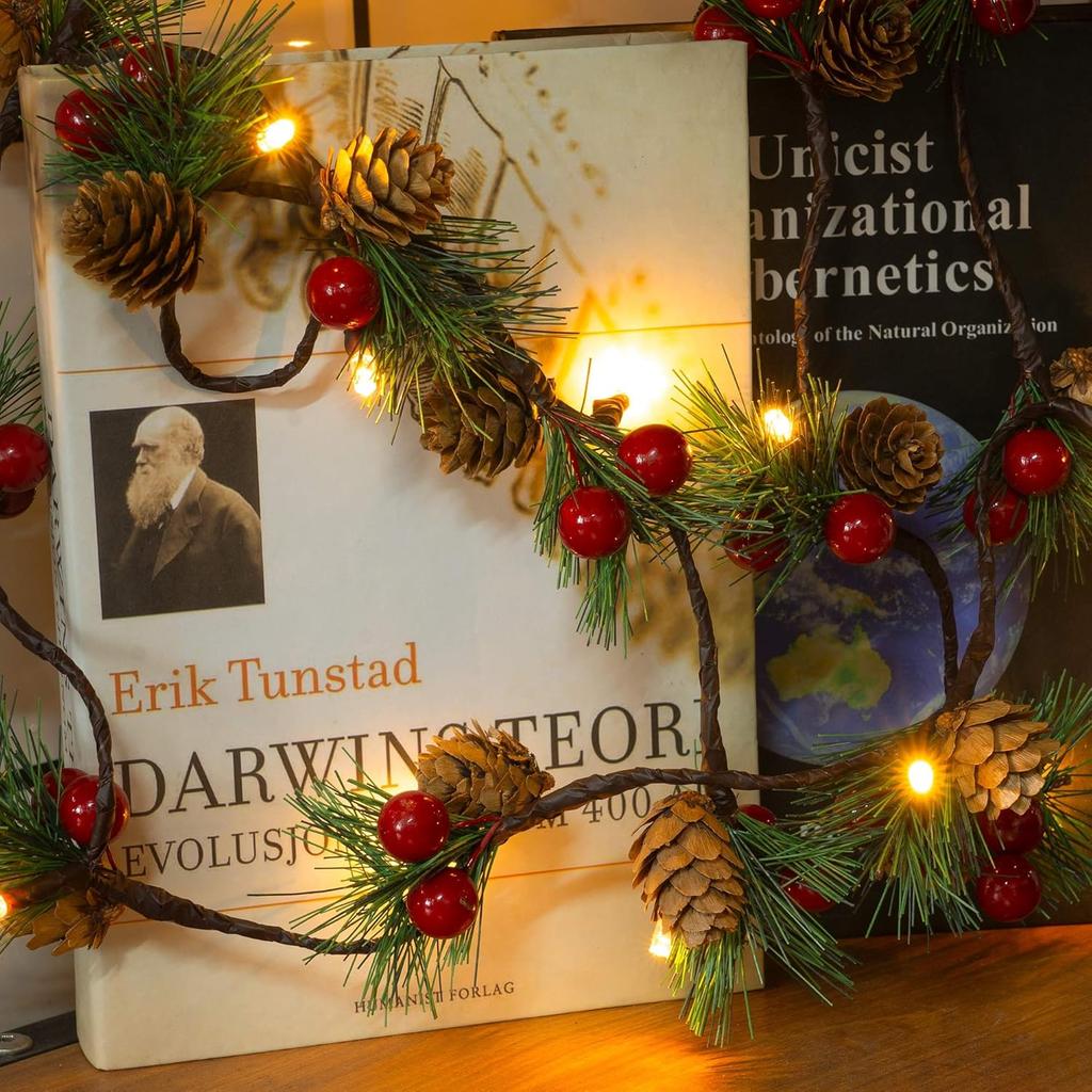 FUNPENY Christmas PineCones String Lights, 6.56Ft 20 LED Pine Needles Red Berries Fall Light Garland, Indoor Outdoor Decor for Thanksgiving Christmas