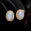 Gorgeous 925 Sterling Silver Women's Clasp Earrings Fine Jewelry for Festival Gift, Oval 10*14mm Natural Opal Awaken Inspiration