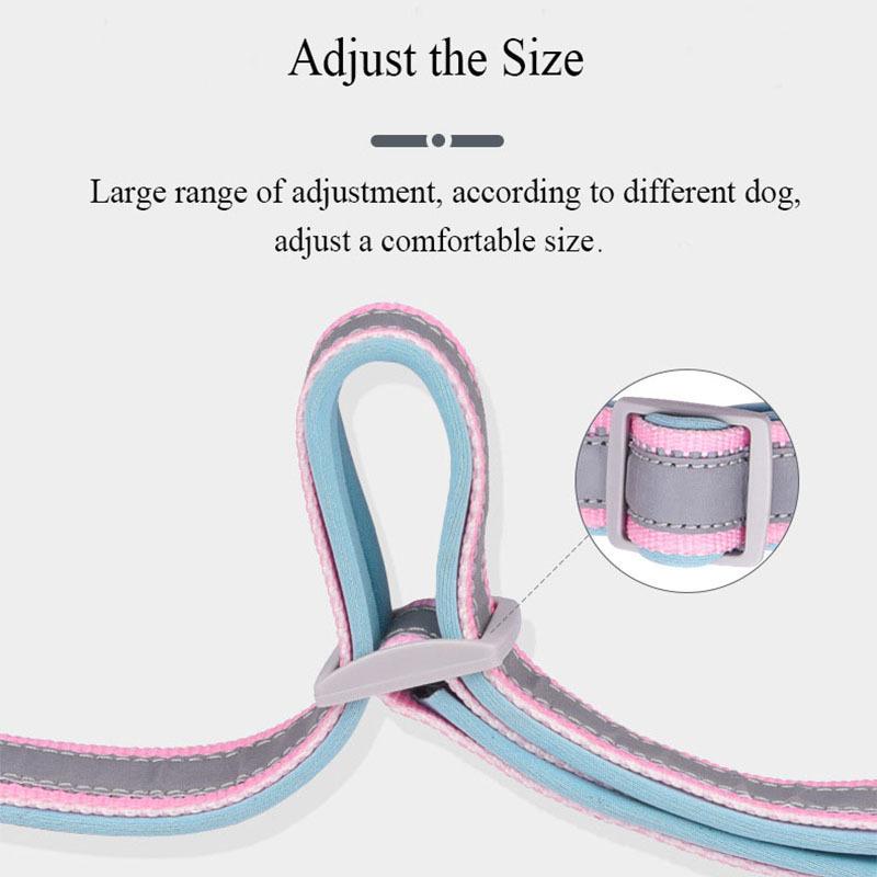 Pet Collar Can Be Engraved Metal Buckle Space Cotton Inner Highlight Reflective Strip Dog Collar Neck Ring