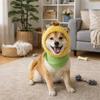 Pet Supplies Warm Pet Corn Hat Cute Funny Cat Head Cover Comfort Soft Winter Dog Cap Small Dogs Cat