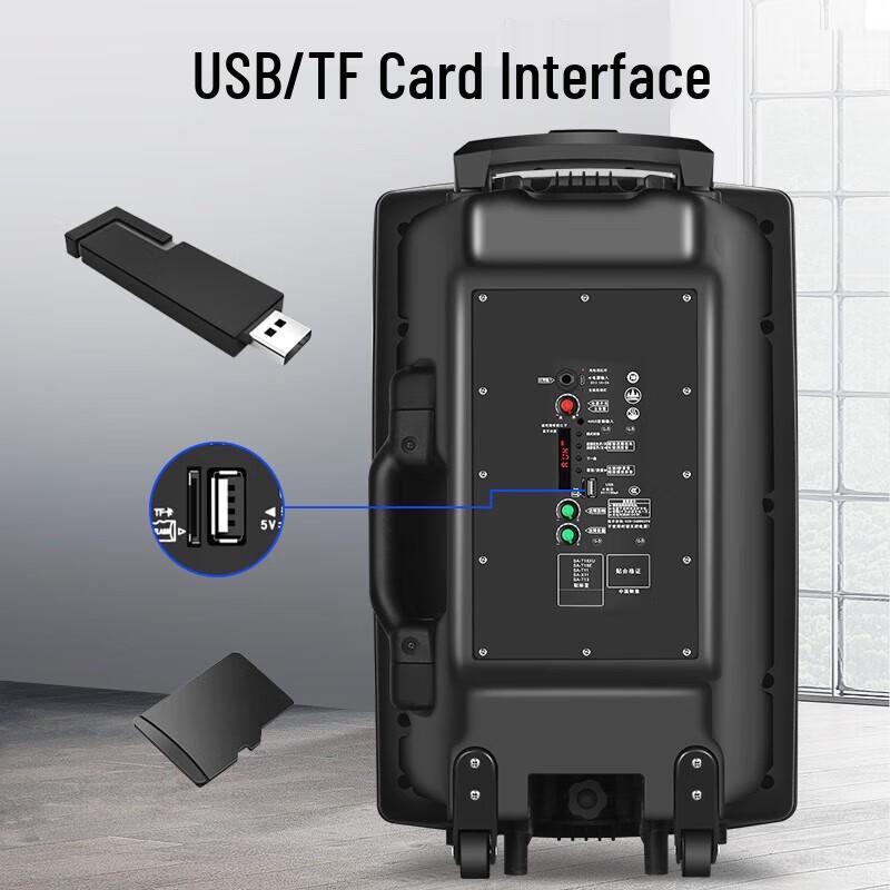 Soaiy A89WM 12-inch Portable Bluetooth Karaoke Speaker