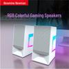 Newman V4 Desktop Bluetooth Gaming Speaker