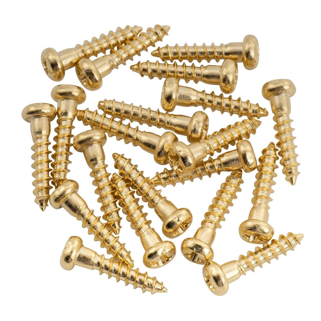 Musiclily Ultra Guitar Tuner Mounting Stainless Panhead for Electric Gold of 2.2x10mm Screws, Steel, Type, Guitars/Acoustic/Bass, (Set 20)