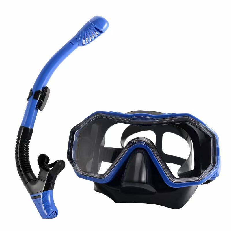 Adult Anti-Fog Snorkel Mask & Dry Snorkel Set