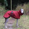 Modischer Regenmantel für Airless Terrier Weiche Welpenkleidung Warmer wasserdichter Mantel für Italienischen Windhund Whippet Hundejacke