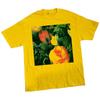 Üst giysisi – T-shirtler