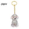 Pet Loss Sympathy Gift Hair Memorial Keychain, Dog Keepsake Holder, Transparent Jewelry Bottle Pendant, Portable Commemorative Charm for Keys