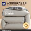 HLA 7A Antibakterielle Winterdecke aus Sojafaser