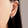 S925 Sterling Silver Purple Zircon Pet Paw Print Earrings Hoop Earrings Women Jewelry Original Trendy Anniversary Gifts