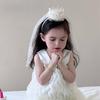 Girl Crown Headband with Sequins Imitation Pearls Princess-Style Crown Mesh Veil Toddler Princess Headpiece Baby Girl Photo Accessory