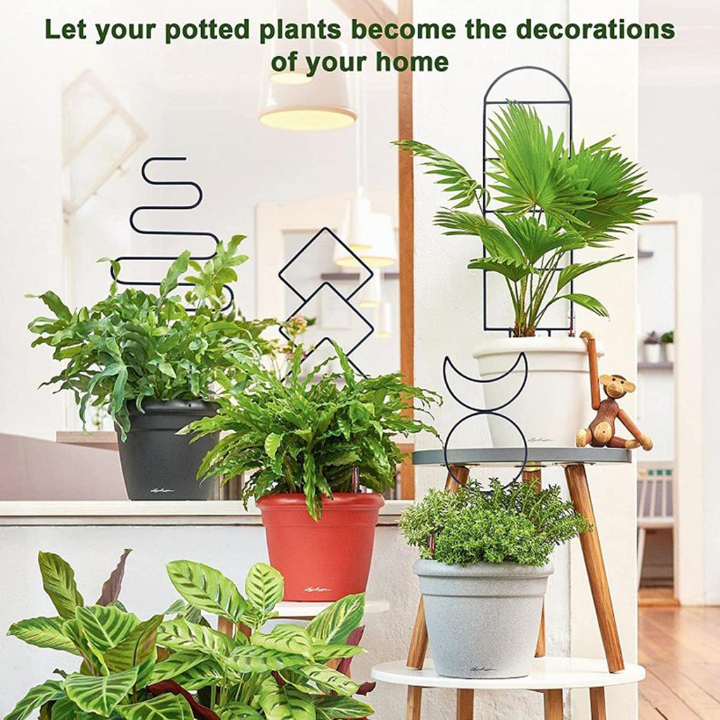 4pcs Geometry Metal Plant Trellis Potted Climbing Plant Starter Tool for Stems Vine Peas Vegetables DIY Training Pole