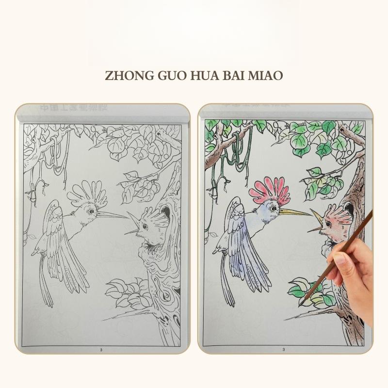 Kinesisk målningsövningsbok för barn Nybörjarbokset Lär dig traditionell linjeteckning med forntida dikter Figurer Fåglar