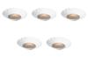 Set of 5 Katakuchi Mukazuke x Reinforced Setomonohonpo Gold-Painted [14.5 4cm] Mukazuke, Porcelain,