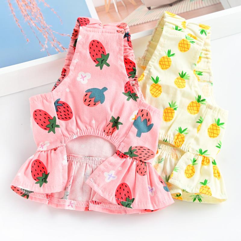 Pet Small Dog Dog Clothing Puppy with Leash Yorkshire Pomeranian Bear Teddy Skirt Spring Summer Thin