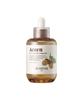 Skinfood Acorn Pore Peptide Ampoule