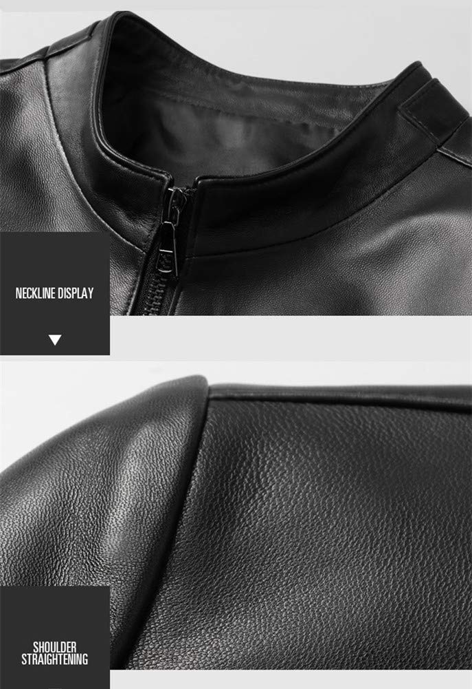 JINLUN Leather Single Genuine Lambskin Stand Men's Jacket, Rider, Leather, Black, Collar, Fall/Winter