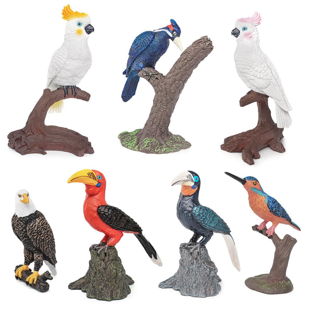 Realistic Bird Model Pvc Owls Eagles Parrots And Woodpeckers For Childrens Educational Decor