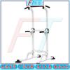Fengta Multifunctional Home Pull-up & Dip Station