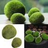 Marimo Moss Balls Artificial Grass Stones Turf Mini Fairy Garden Micro Terrarium
