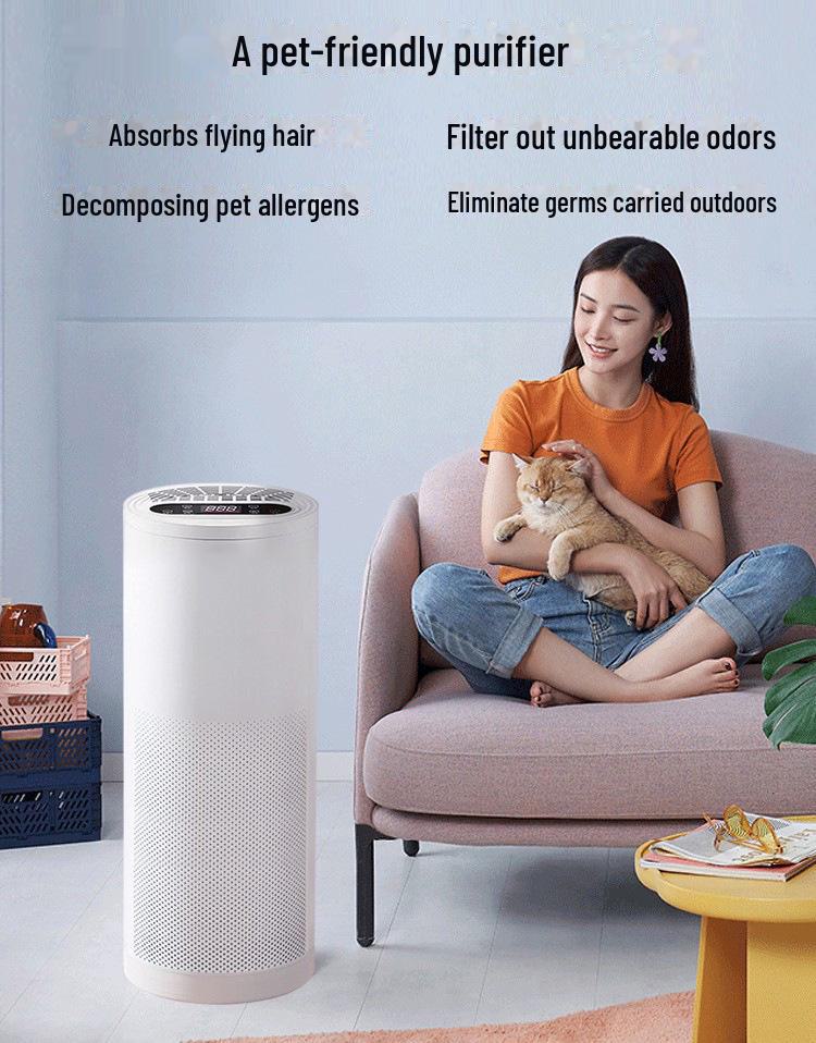 Home Air Purifier for Formaldehyde and Smoke Odor Removal with Negative Ion Technology