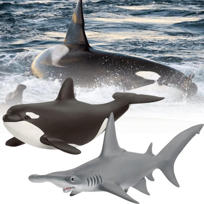 Realistic Sea Life Pvc Model Collection Including Whales Dolphins Sharks And Sea Lions