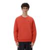 Puma Fw25 Crew Sweat Mfo D Sports Casual Loose Fit Round Neck Raglan Sleeve Sweatshirt Unisex Sweatshirt 695004-11