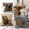 1pc Rock Hyrax Animal Pillow Case Fashion Square Pillowcase Bedroom Sofa Room Ins Decoration Leisure