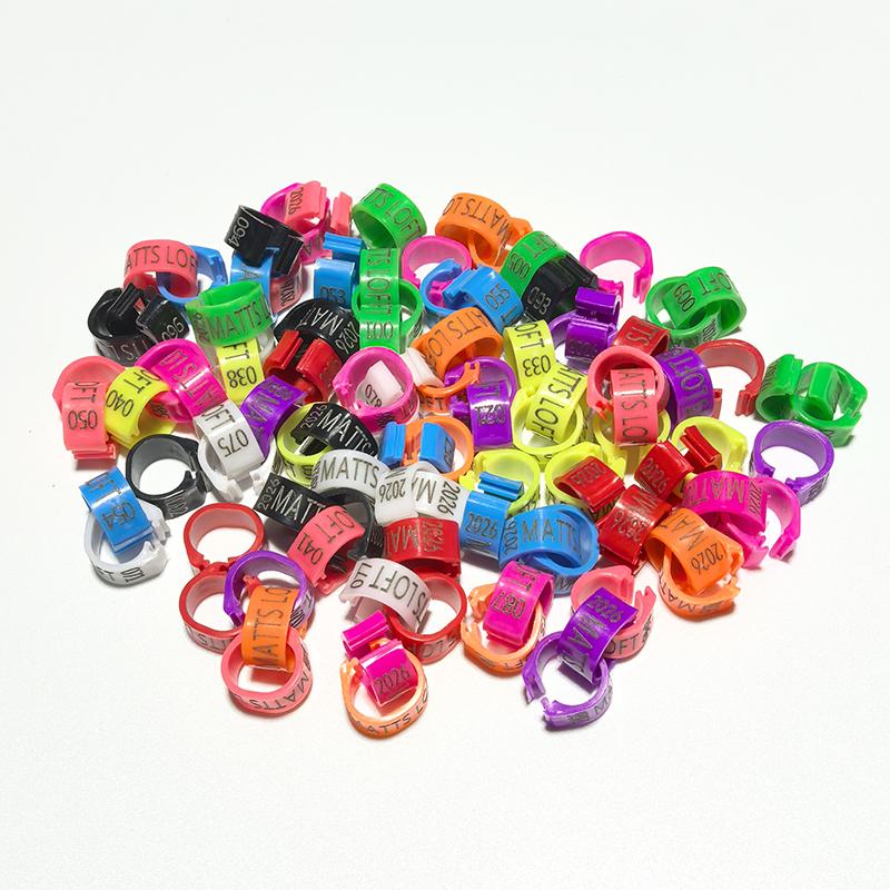 Personalisierte 100 Stück Innendurchmesser 8mm Kunststoff Taubenringe - Kundenspezifische Lasergravur, Taubenfußringe