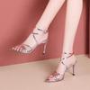 Fashion 2024 New Summer Sexy Nightclub Fashion Pointed Toe Open Toe High Heel Sandals with Thin Heel for Women